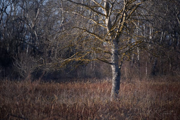 Landschaft