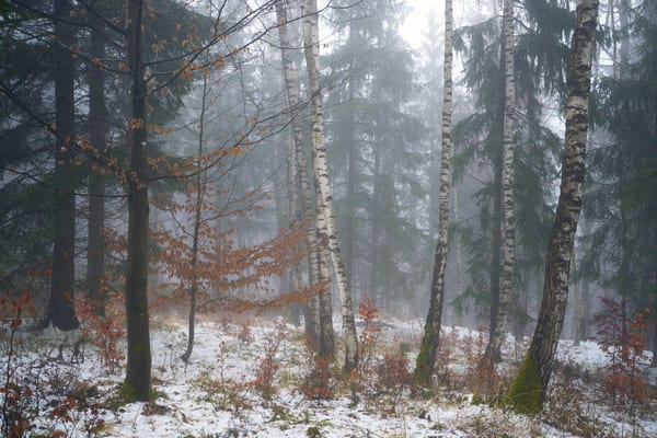 Landschaft