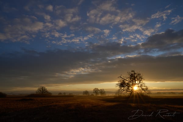 Landschaft