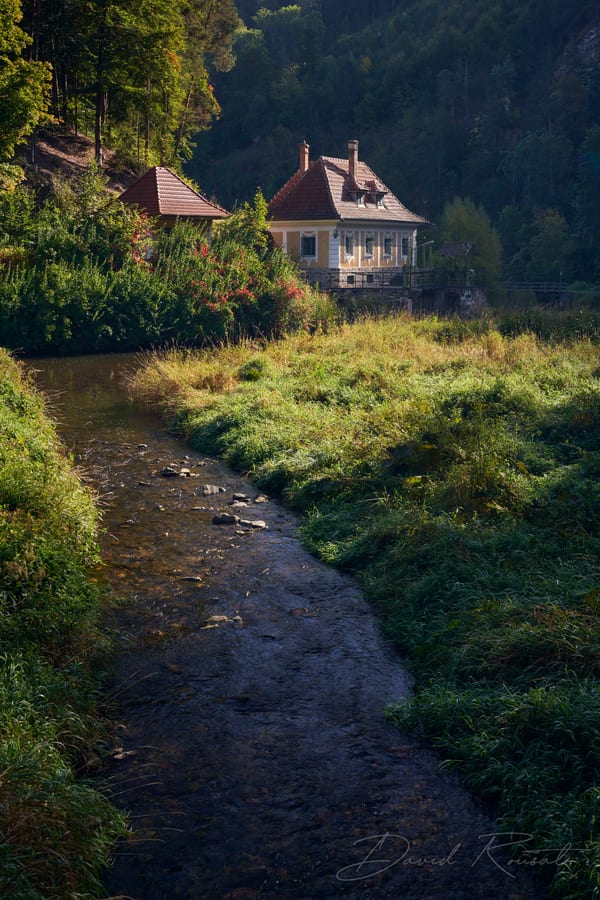 Landschaft