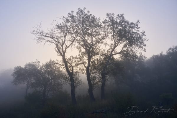 Landschaft