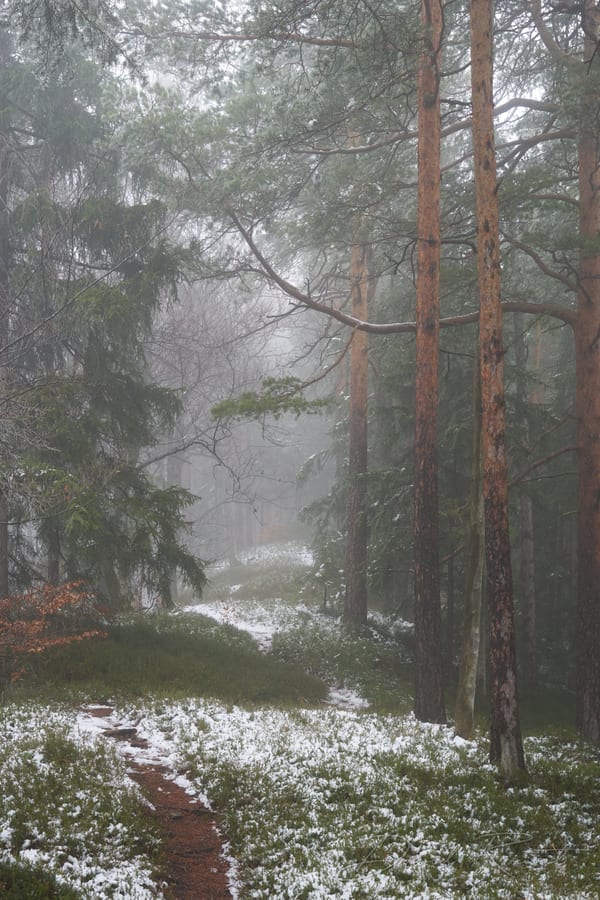 Landschaft
