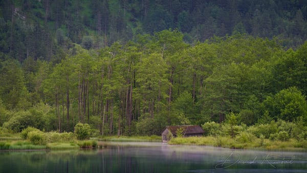 Landschaft